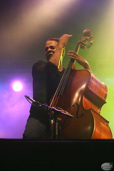 stanley-clarke14.jpg