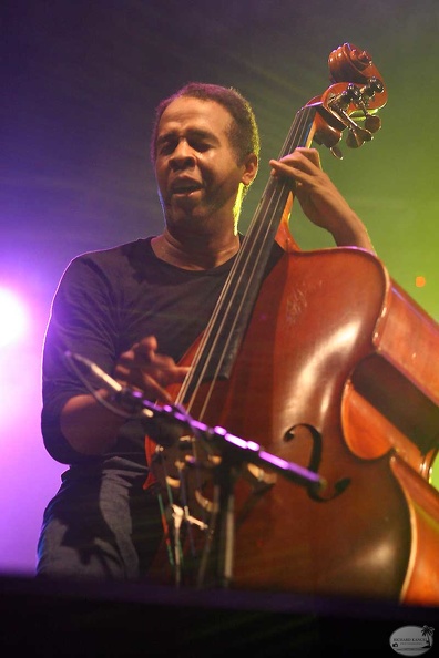 stanley-clarke15.jpg