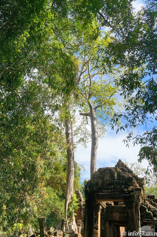 DSC05134petit-circuit-angkor.jpg