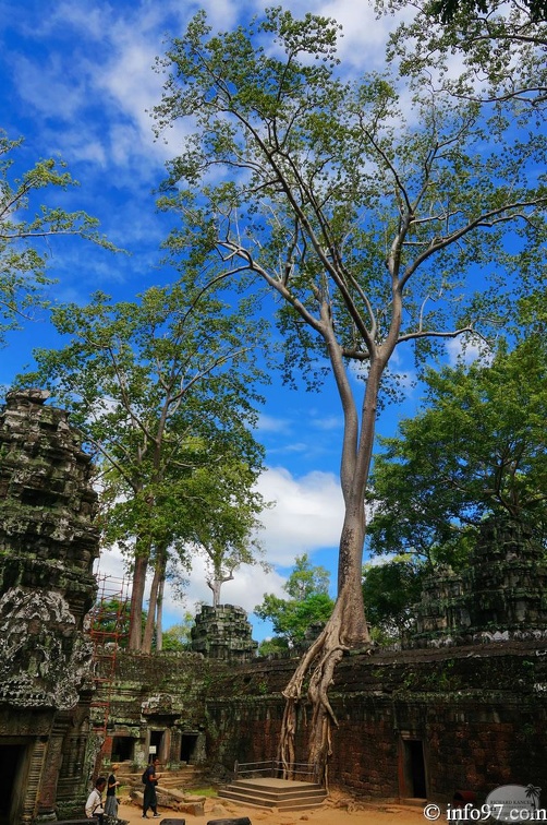 DSC05151petit-circuit-angkor.jpg