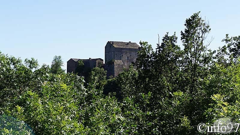 millau-4.jpg