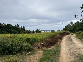 DJI 20251028 123946 947-neiafu-tonga