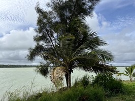 DJI 20251027 093534 089-nukualofa-tonga