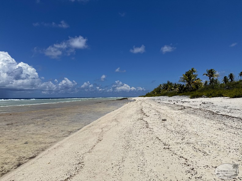 DJI_20251109_121959_948-Rangiroa.jpg