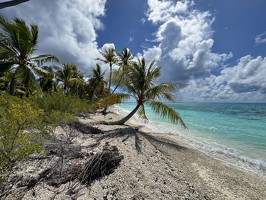 IMG 3666-Tuamotu