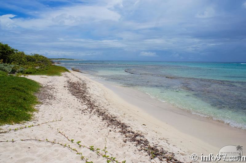 DSC05881-Petite-Terre.jpg