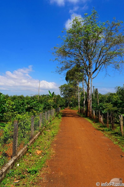 DSC03141ethnie-jarais.jpg