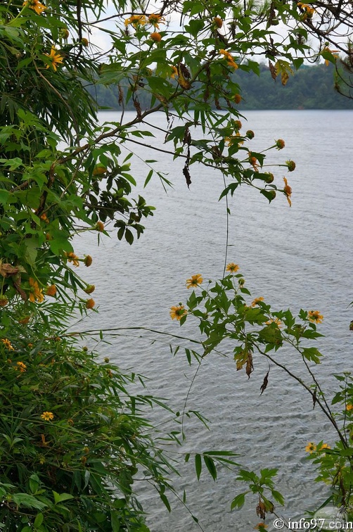 DSC03192Pleiku.jpg