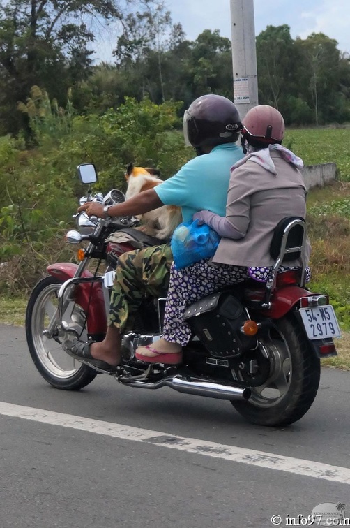 DSC03922transport-vietnam.jpg