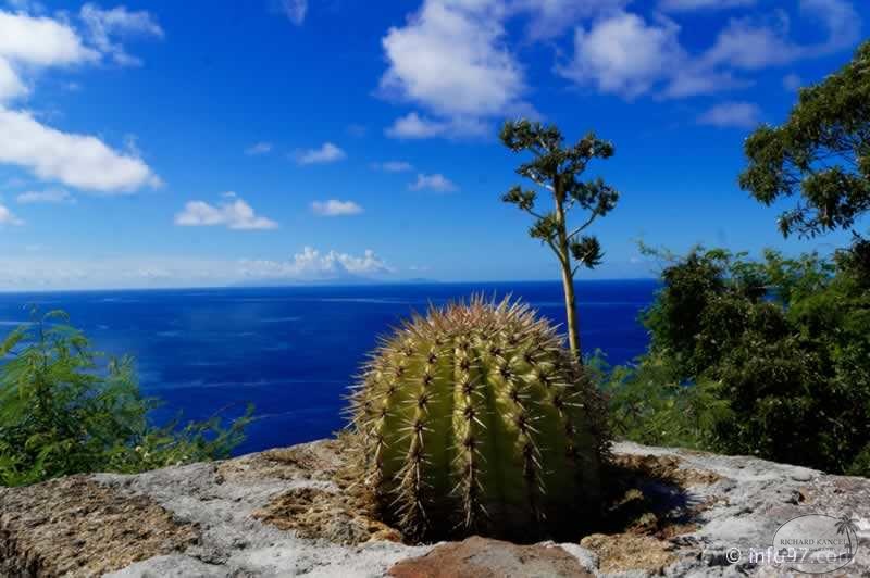 antigua-38.jpg