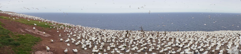 PaMooramicsDSC08468.jpg