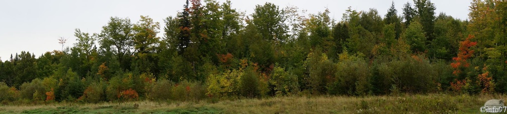 PaMooramicsDSC08671.jpg