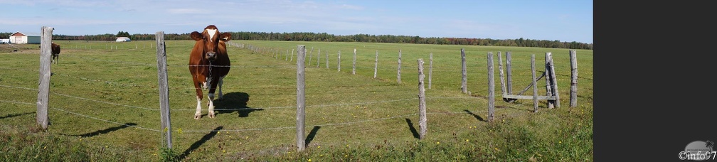 PaMooramicsDSC09150.jpg