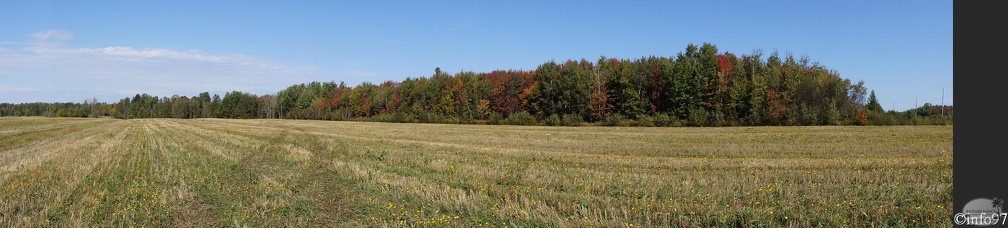 PaMooramicsDSC09152.jpg