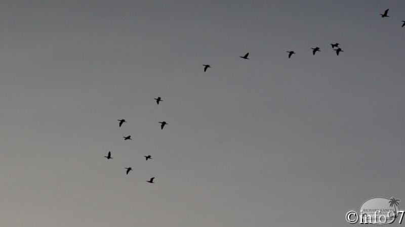 dsc08118.jpg