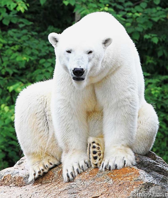 zoo-st-felicien-1.jpg