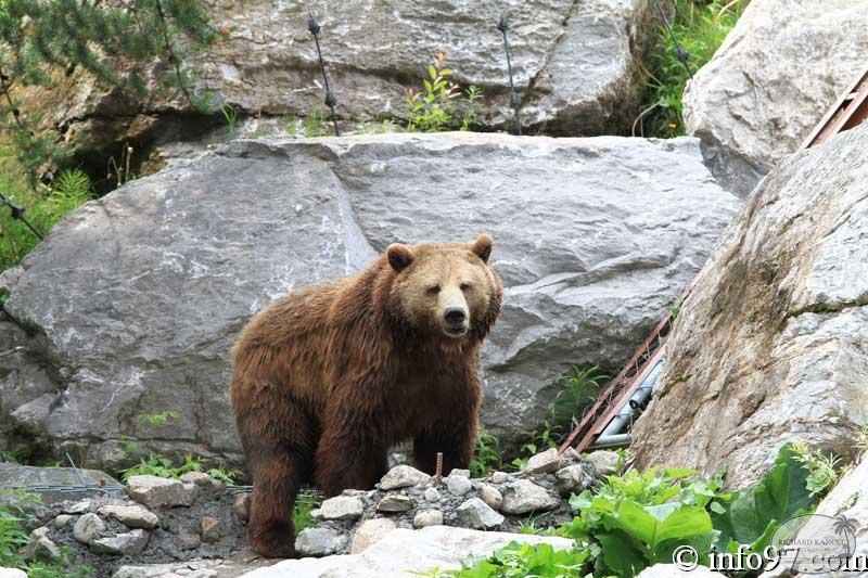 zoo-st-felicien-29.jpg