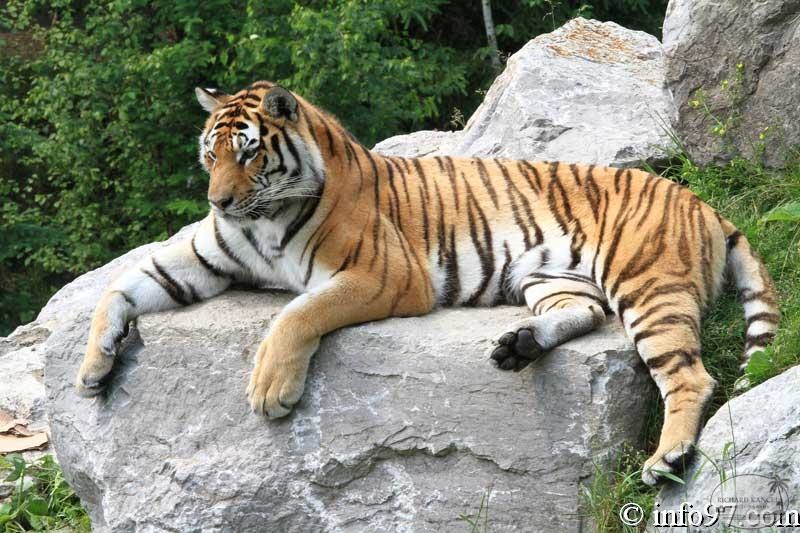 zoo-st-felicien-46.jpg