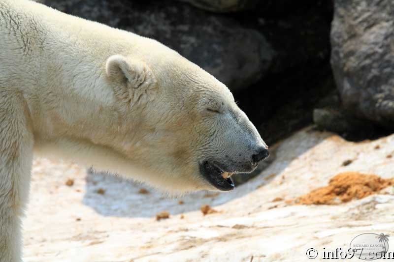 zoo-st-felicien-54.jpg