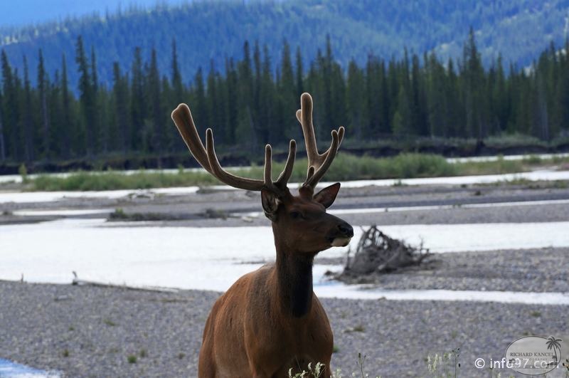 park-jasper-102.jpg