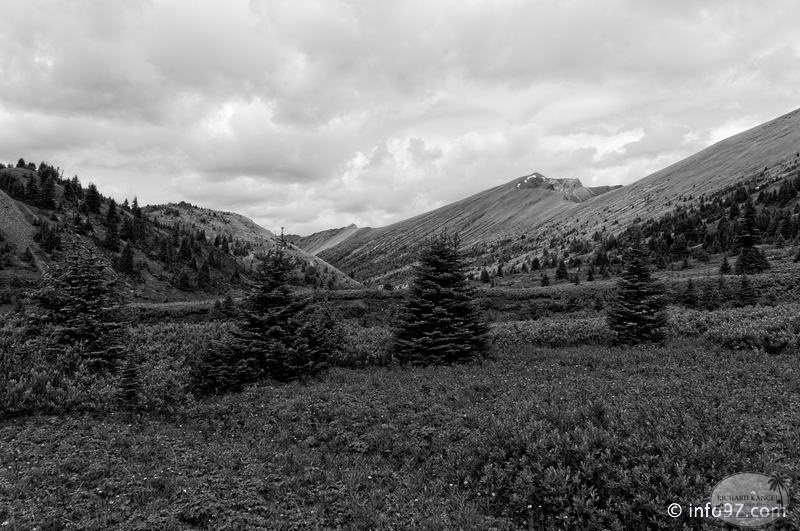 lac-maligne-24.jpg