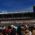 rodeo-stampede-alberta-007.jpg
