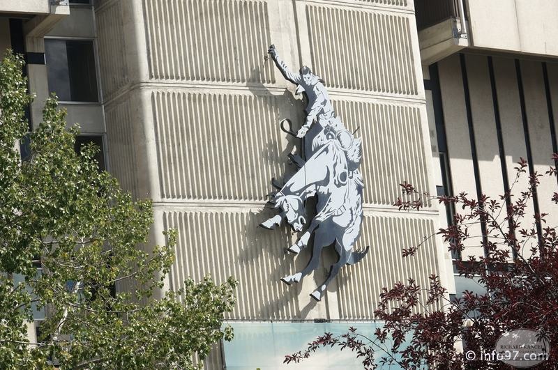 rodeo-stampede-alberta-011.jpg