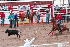 rodeo-stampede-alberta-027
