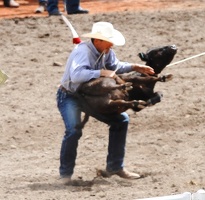 rodeo-stampede-alberta-028
