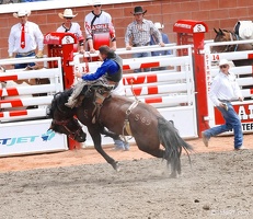 rodeo-stampede-alberta-031