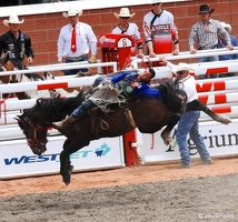 rodeo-stampede-alberta-032