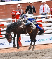 rodeo-stampede-alberta-033