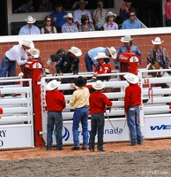 rodeo-stampede-alberta-047