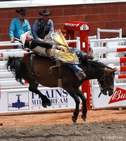 rodeo-stampede-alberta-059