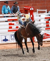 rodeo-stampede-alberta-060