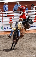 rodeo-stampede-alberta-062