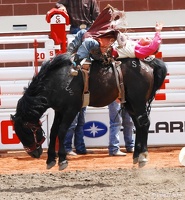 rodeo-stampede-alberta-063
