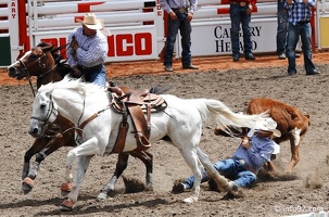 rodeo-stampede-alberta-070