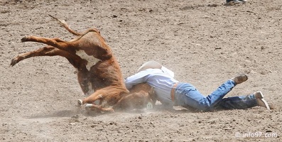 rodeo-stampede-alberta-074