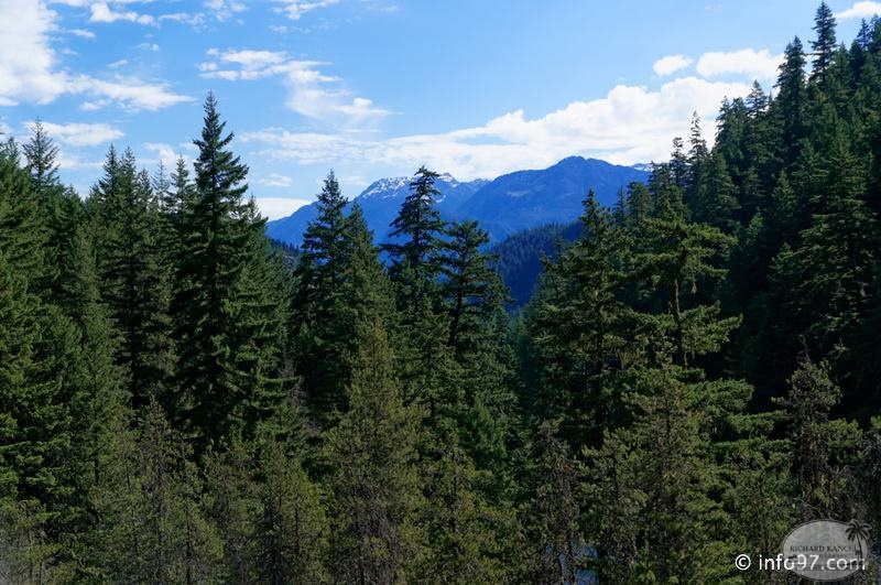 clearwater-park-wells-gray-012.jpg