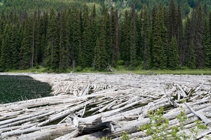 clearwater-park-wells-gray-037
