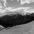 golden-bc-14.jpg