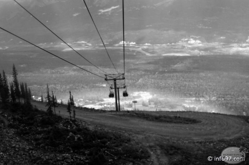 golden-bc-48.jpg