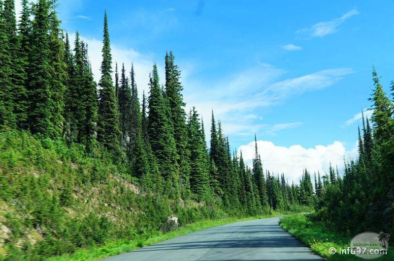 revelstoke-017.jpg