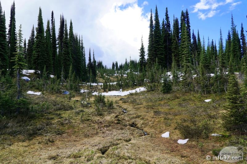revelstoke-031.jpg