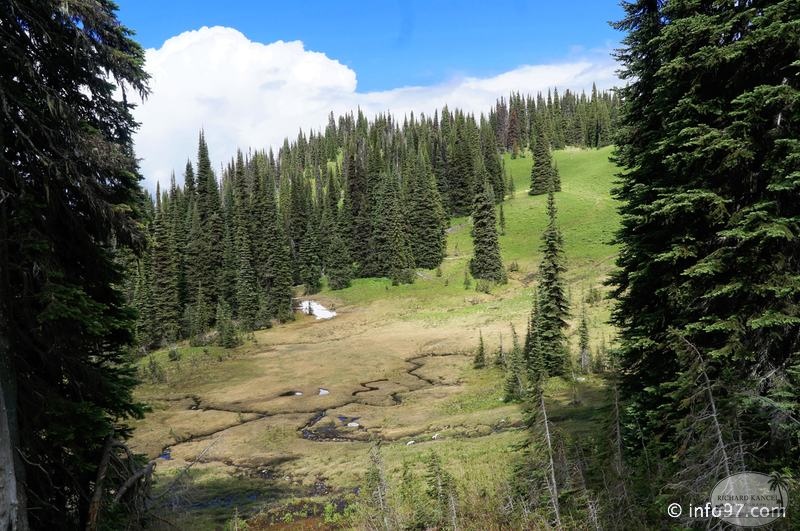revelstoke-033.jpg