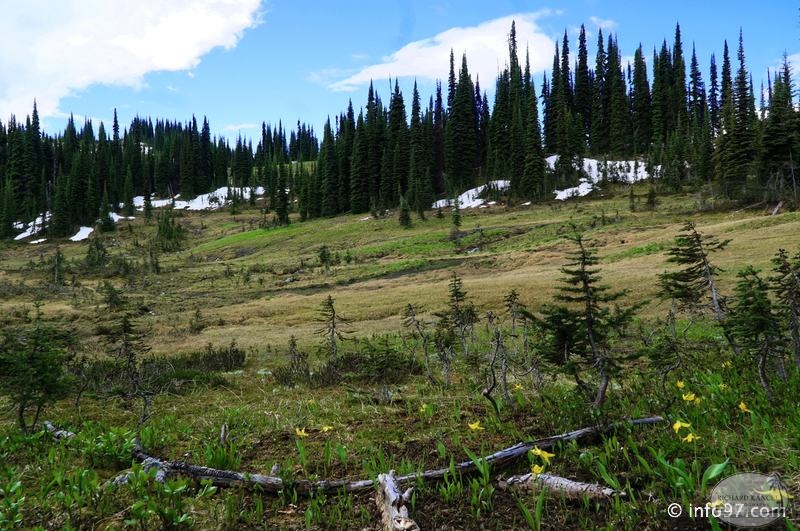 revelstoke-037.jpg
