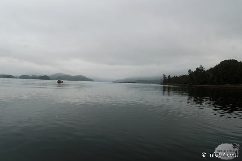 tofino-BC-ours-33.jpg