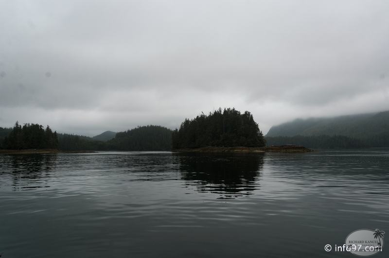 tofino-BC-ours-34.jpg