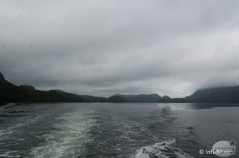 tofino-BC-ours-35.jpg